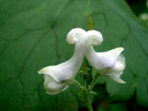 杭州成考高分作文写作技巧分享(图1) 杭州成考高分作文写作技巧分享(图1)