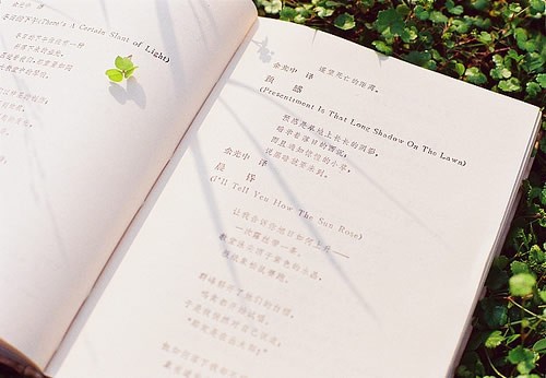 2020年杭州成人高考考试时间在什么时候?(图1) 2020年杭州成人高考考试时间在什么时候?
