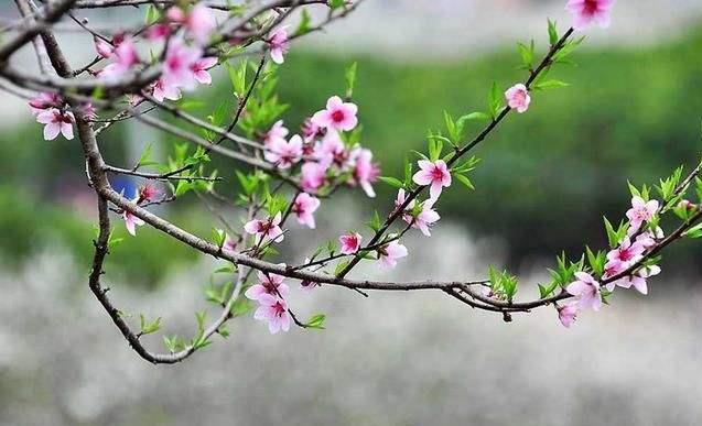 杭州成人高考参加考试后几月份入学?(图1) 杭州成人高考参加考试后几月份入学?