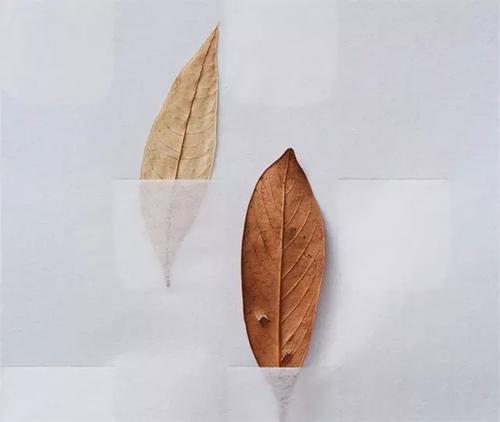 杭州成人高考入学考什么科目?(图1) 杭州成人高考入学考什么科目?