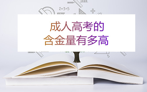 杭州成考的含金量有多高(图1)